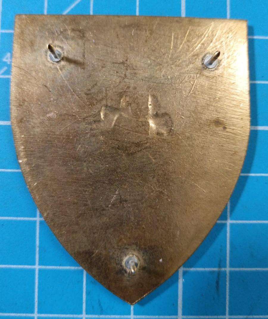 SADF - 35 Engineer Support Shoulder Flash