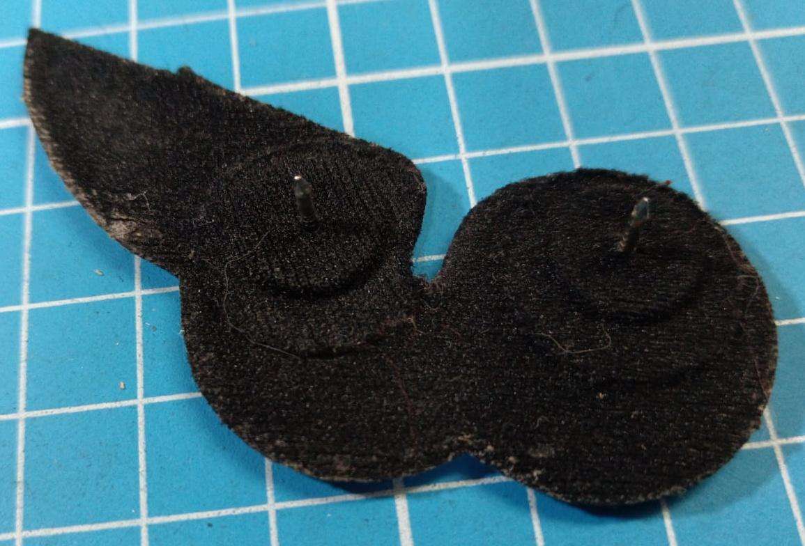 SADF - Air Force Wing