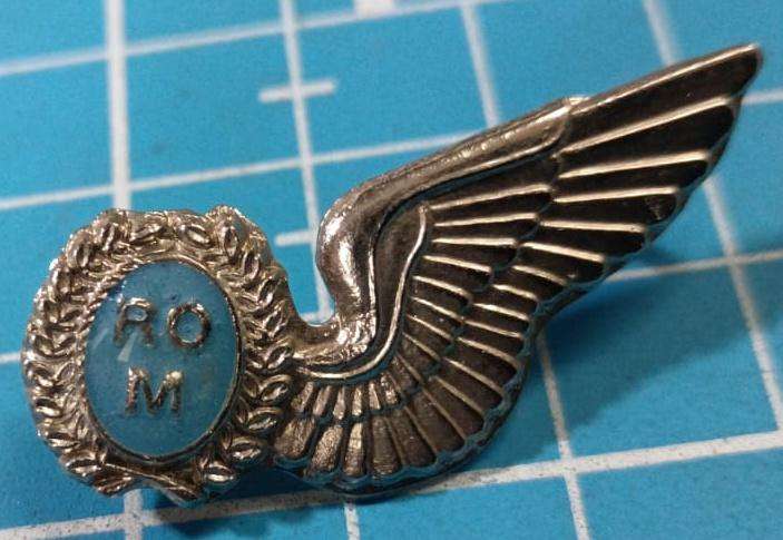 SADF - Air Force Wings