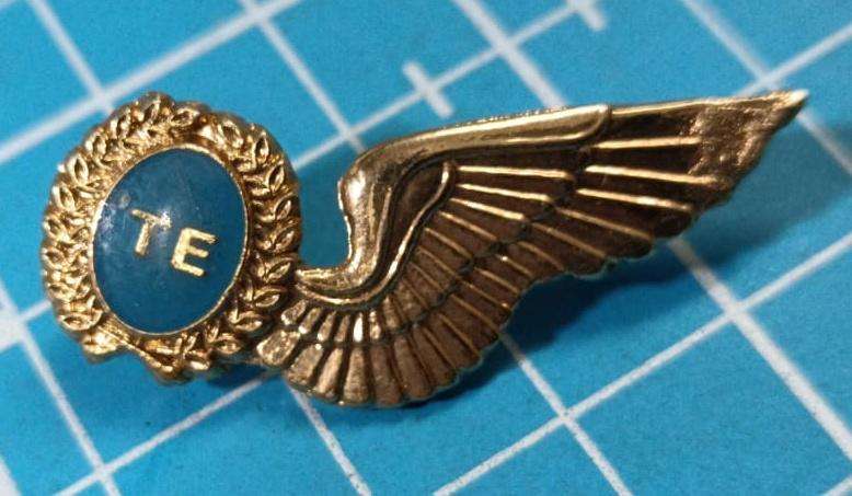 SADF - SAAF Air Force Wing