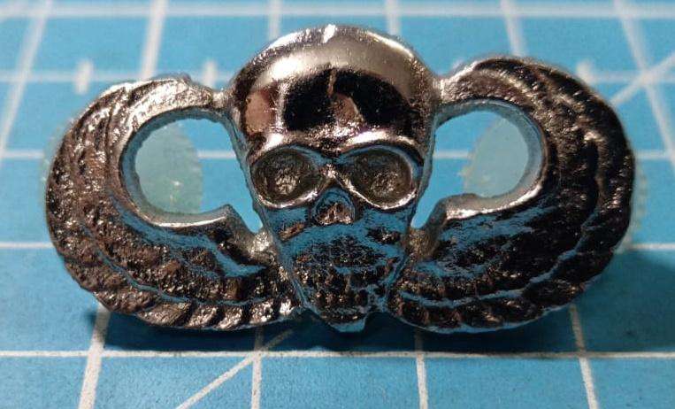 United States - Vietnam Era Skull Wing