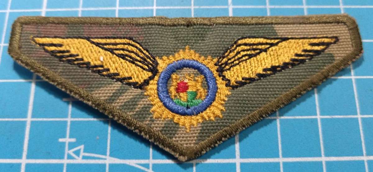 South African Police Special Task Force Parachute Wing