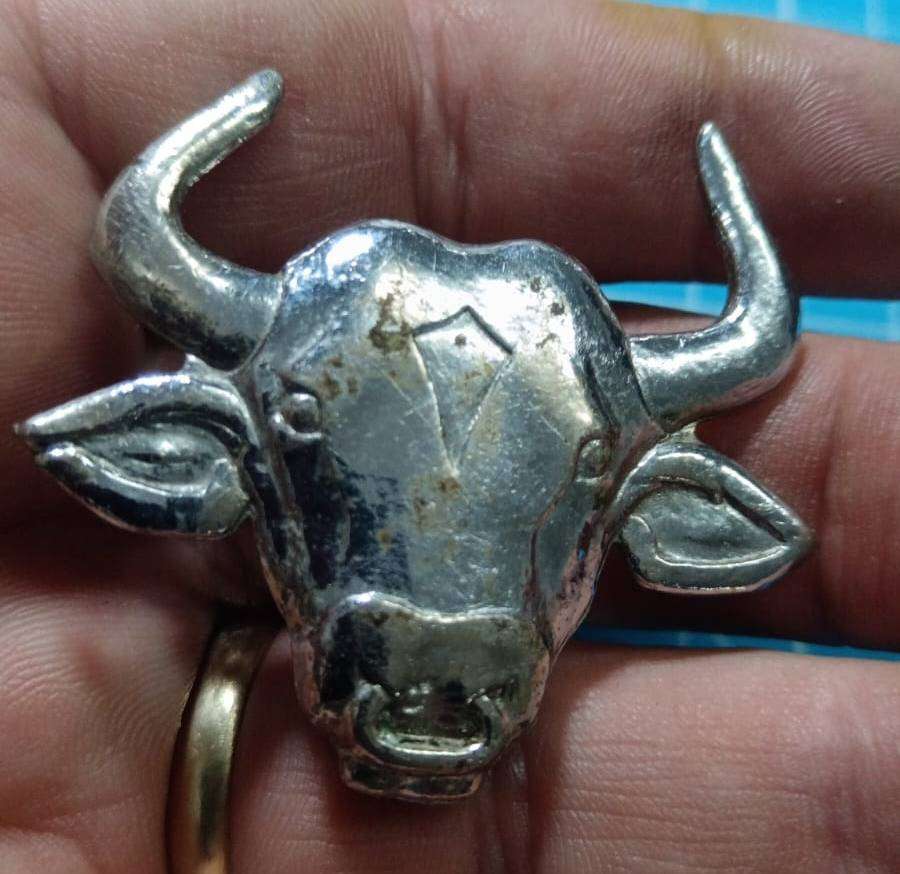 SADF - 116 Battalion Cap Badge