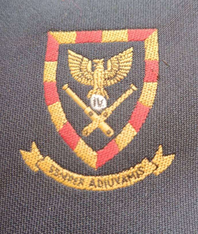 SADF - 4 Field Regiment Tie