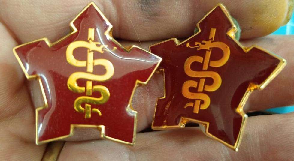 SADF - Medical Corps Ceremonial Collars ( Rare )