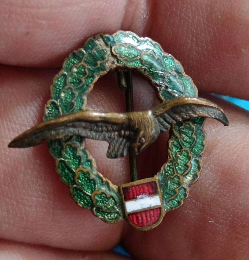 Rare  - Austria Pilots Lapel Pin Badge