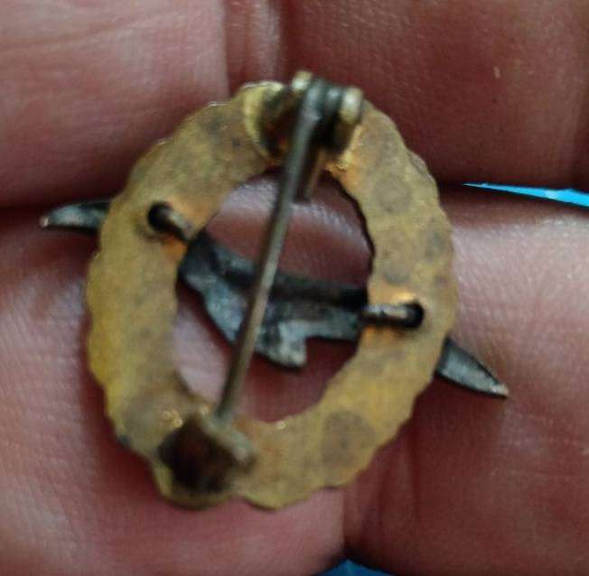 Rare  - Austria Pilots Lapel Pin Badge