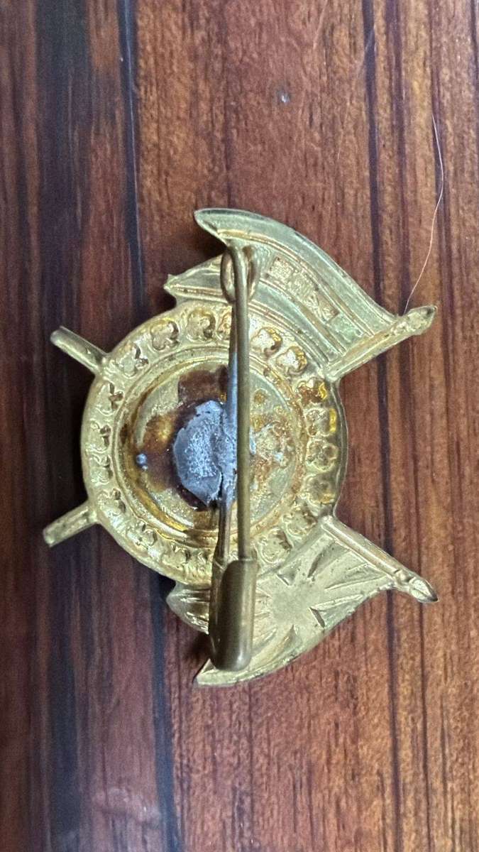 Royal coronation pin
