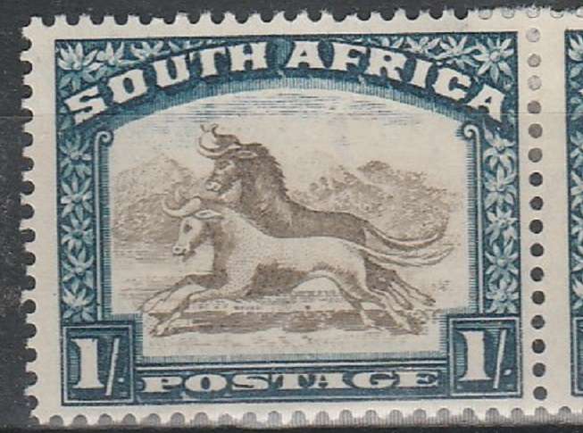 UNION OF SA: 1/ -SACC 49: TWISTED HORN VARIETY :ROW1/5:  CVR3000: LMM :2 SCANS