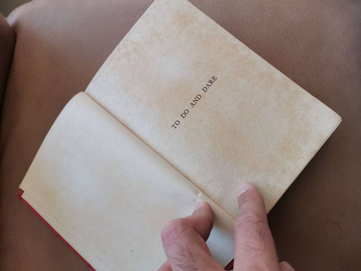 Rare 1920 To do and Dare by H Louisa Bedford