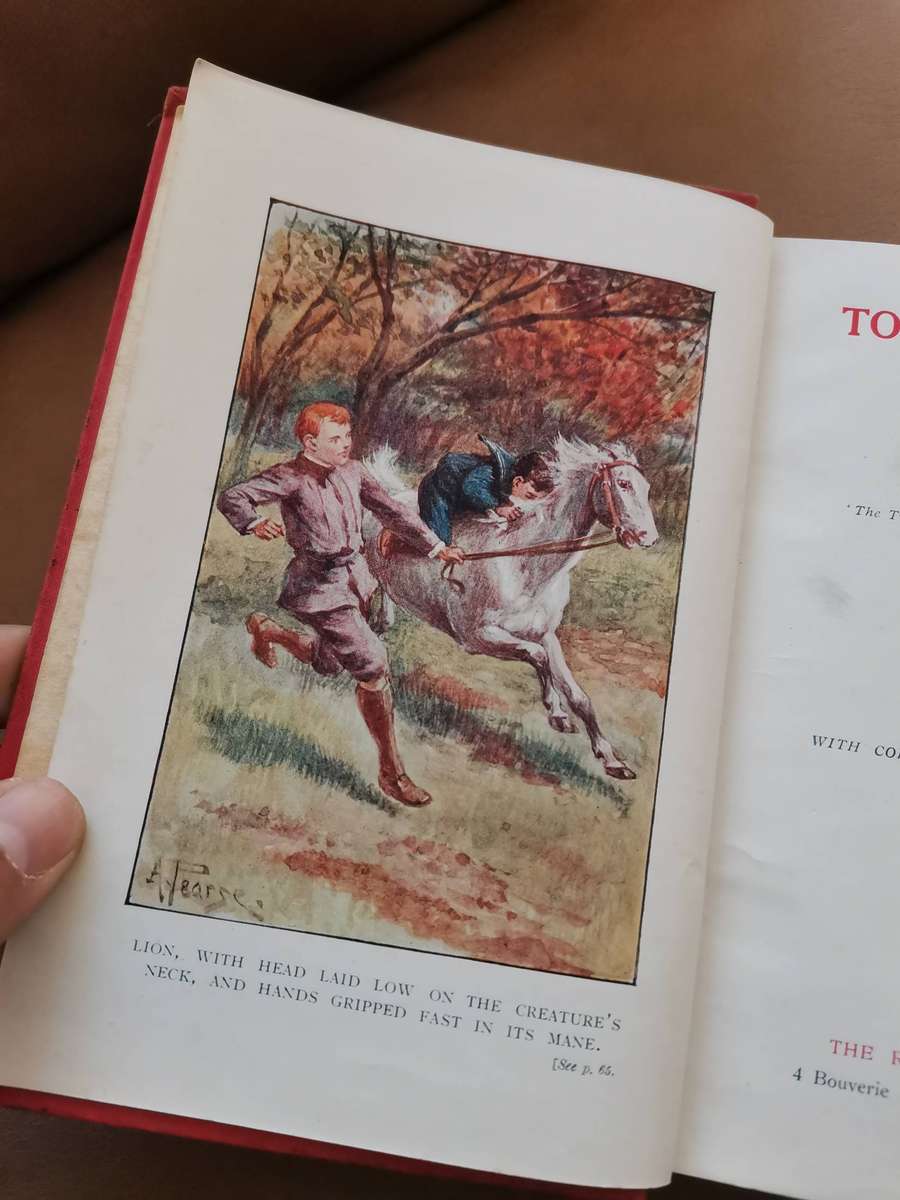 Rare 1920 To do and Dare by H Louisa Bedford