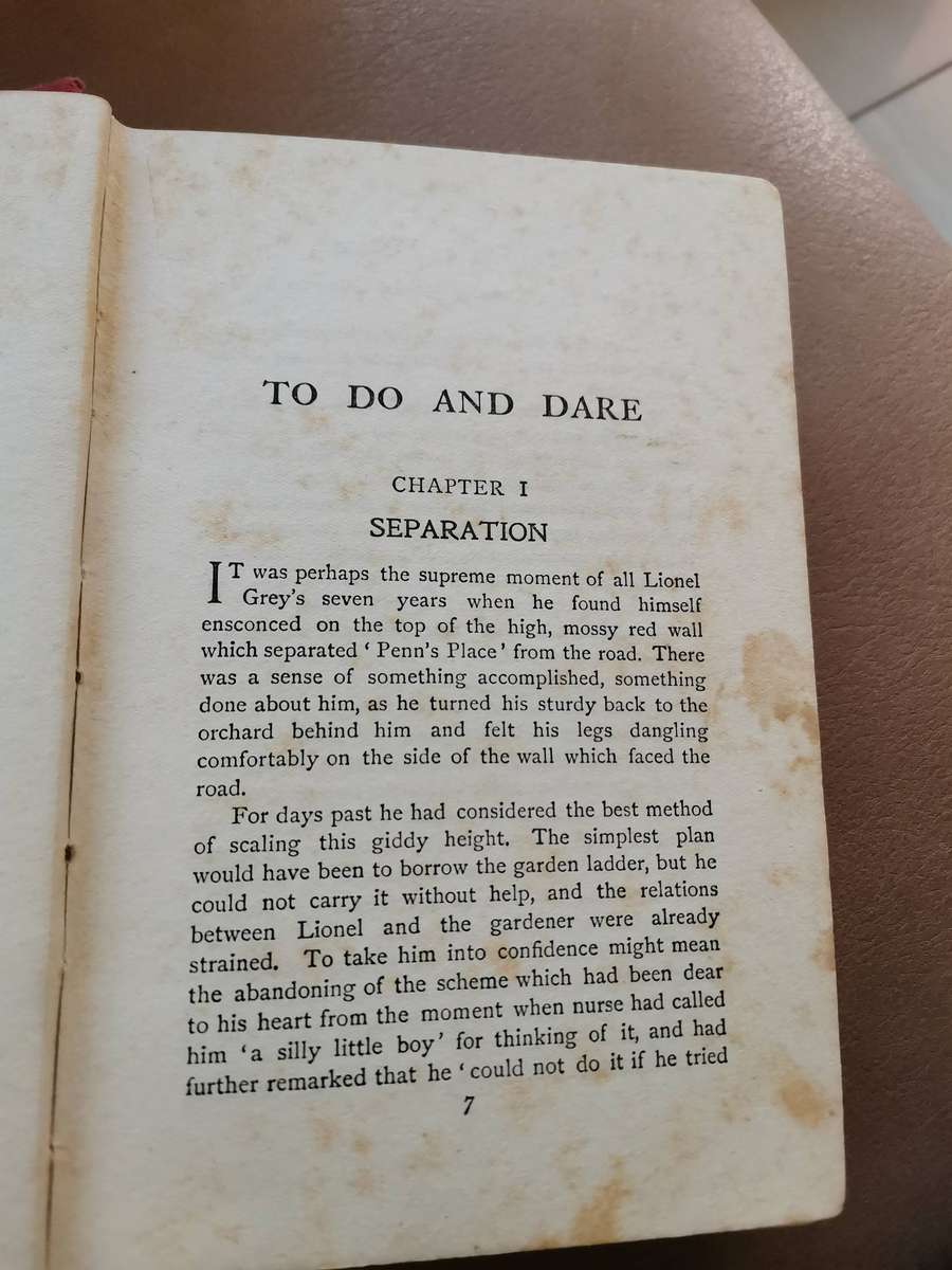 Rare 1920 To do and Dare by H Louisa Bedford