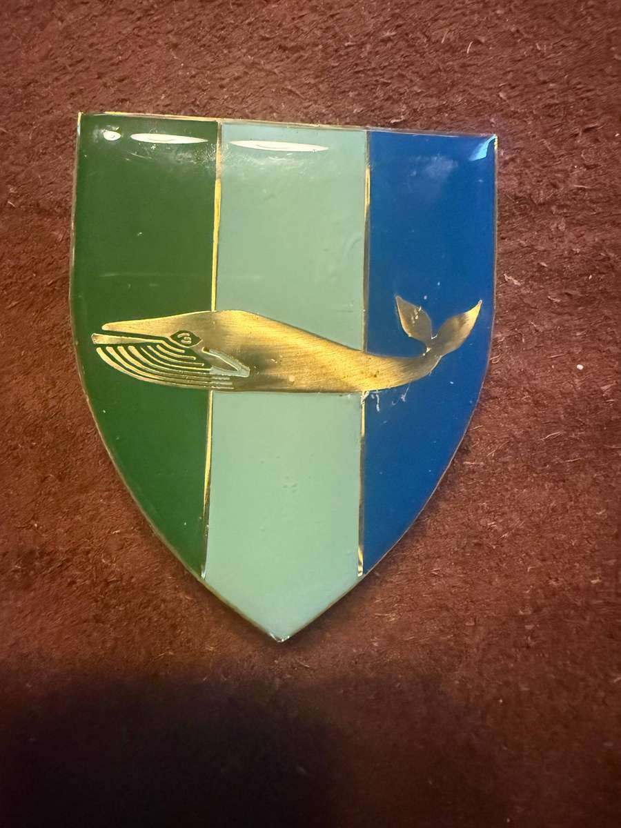 SADF Walvis Bay Signal Unit Shoulder Flash LH Facing