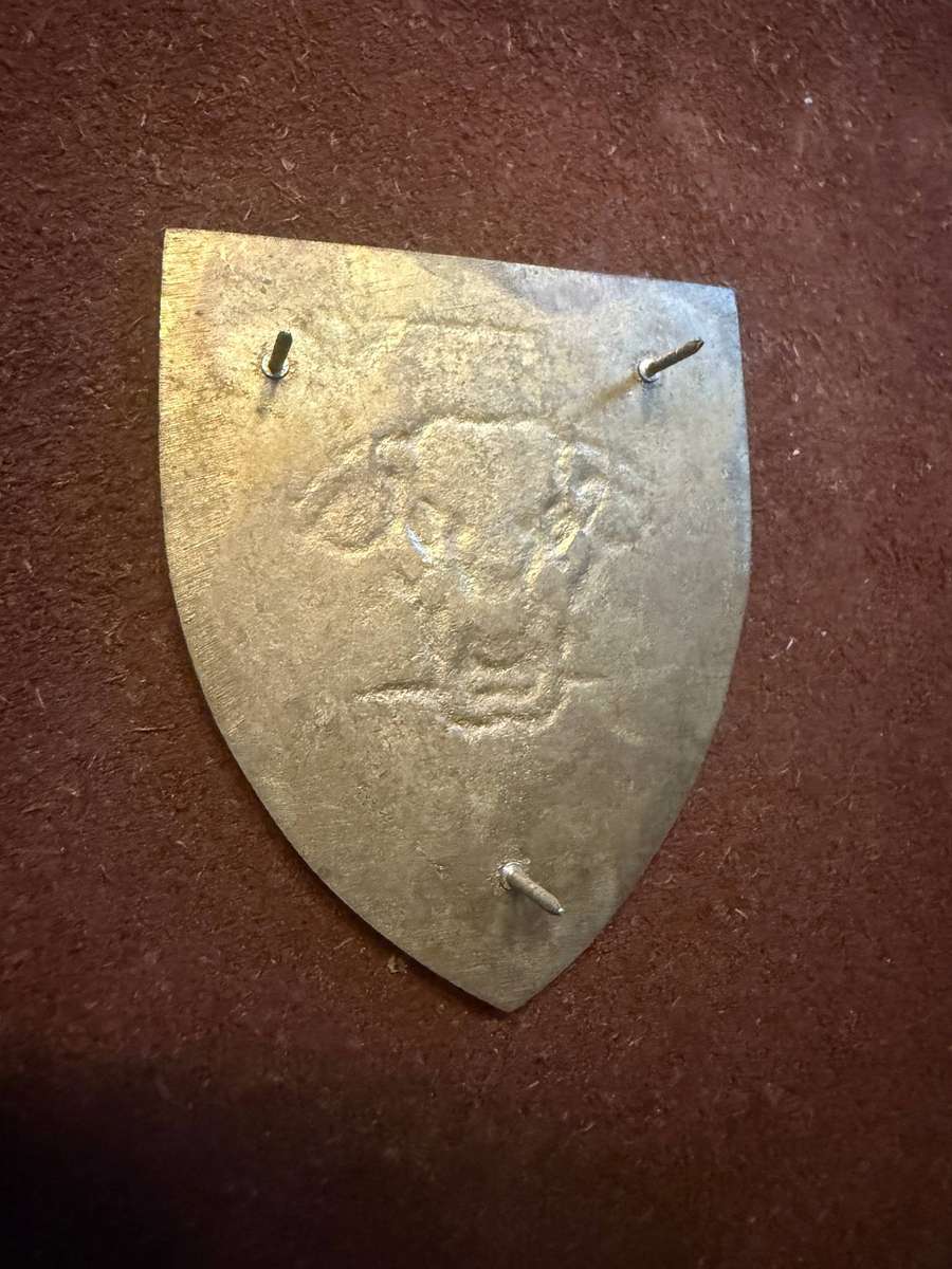 14 South African Infantry Battalion Shoulder Flash