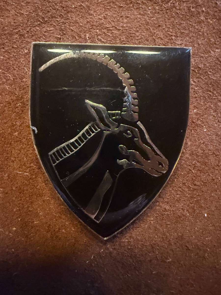 SADF Baberton Commando Shoulder Flash RH