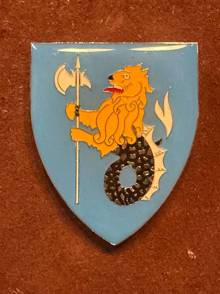 False Bay Commando Shoulder Flash LH - Scarce Item