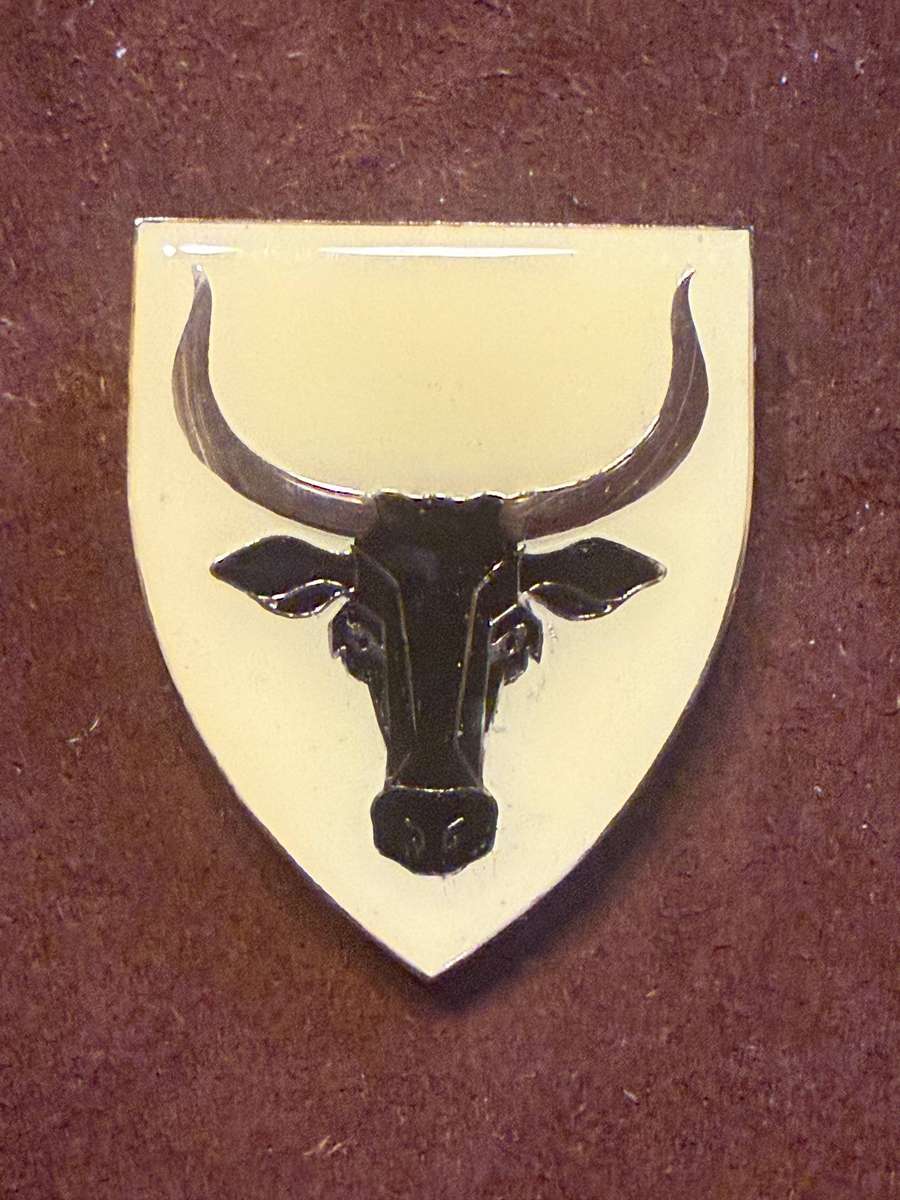 SADF D52 Battalion Shoulder Flash