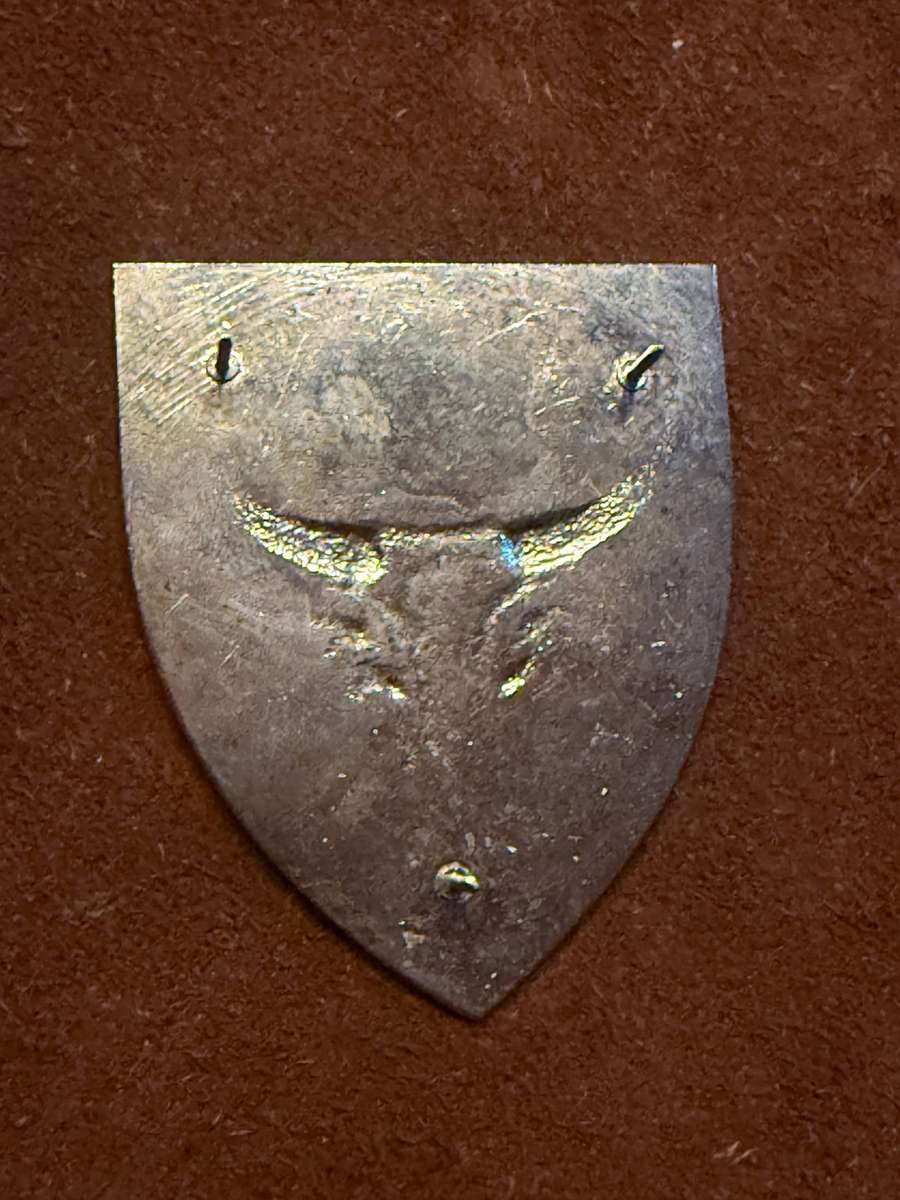 SADF D52 Battalion Shoulder Flash