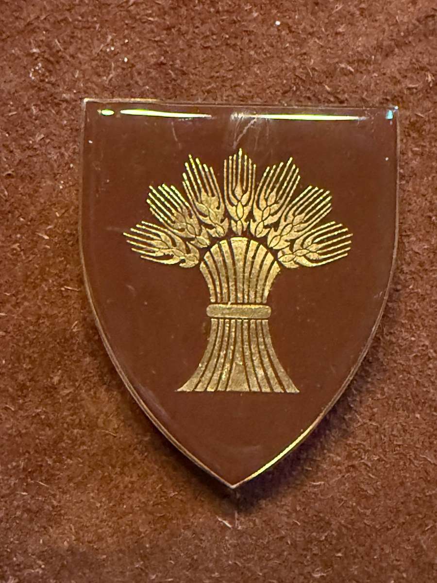 SADF Betlehem Commando Shoulder Flash