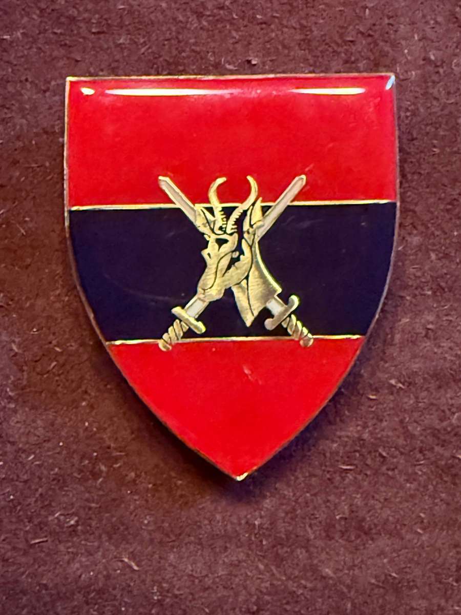 SADF - Director of Engineers Shoulder Flash LH