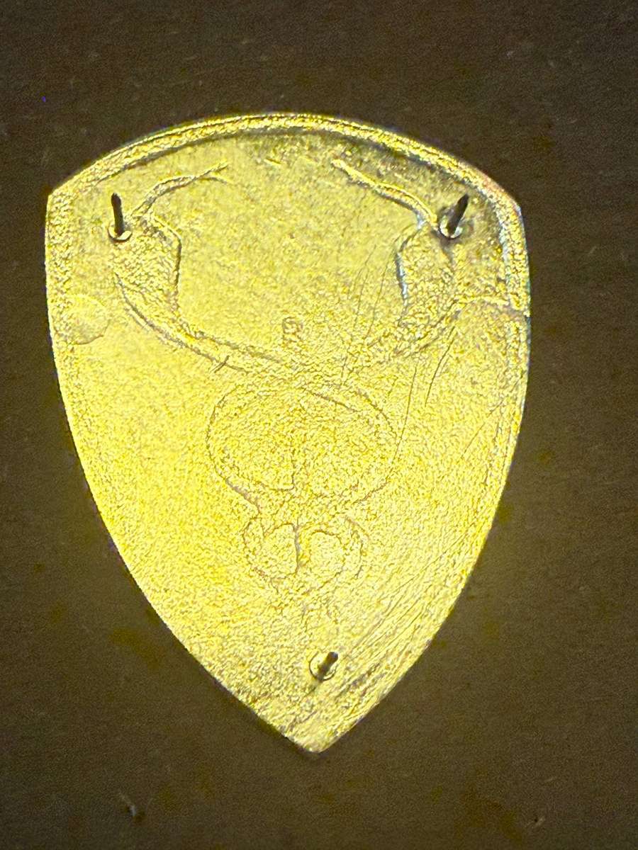 SADF  1 Military Hospital - Shoulder Flash