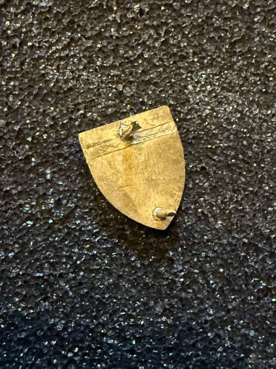 SADF Regiment Skoonspruit Pin