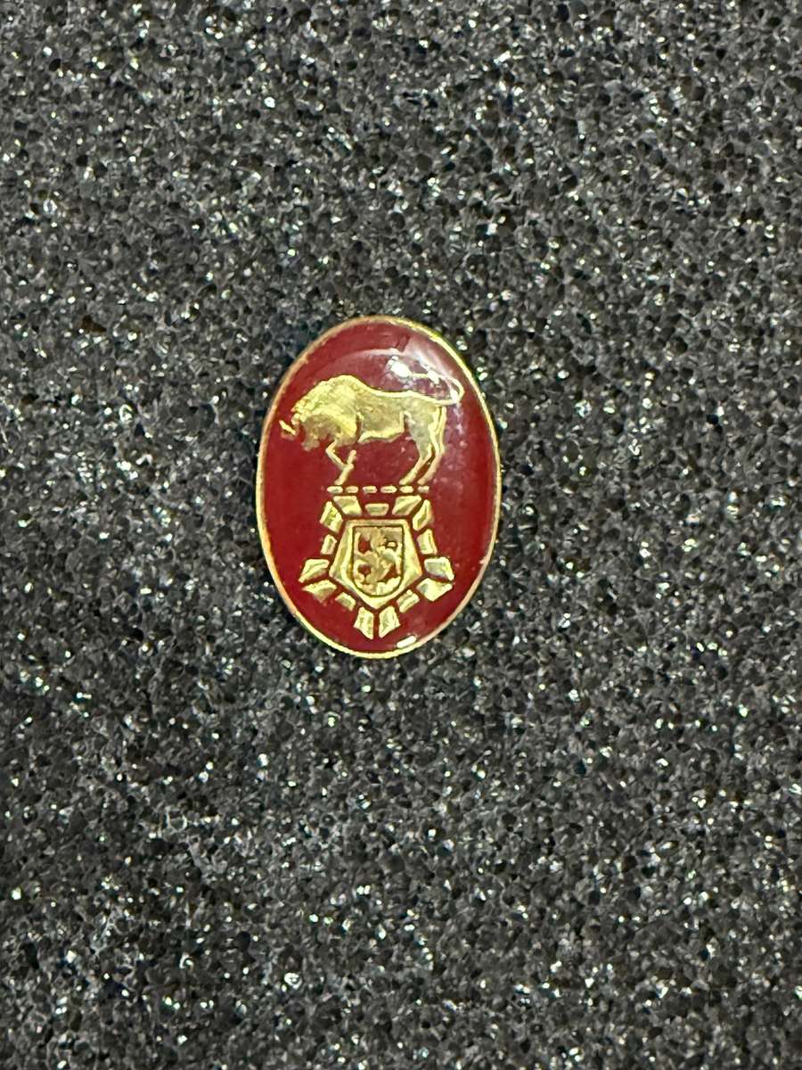 SADF Army College Instructors Badge - Pin