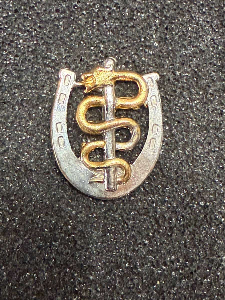 Military Health Services Farrier Proficiency Badge