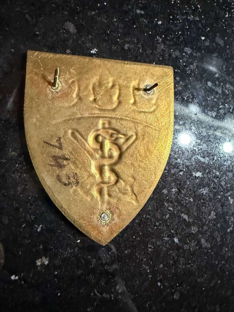 SAMS Shoulder Flash - Medical Training Command