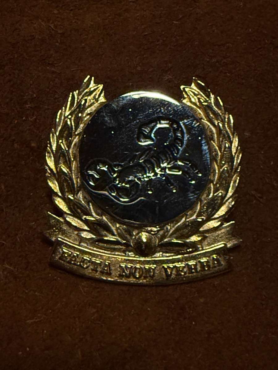 SADF - Gatsrand Commando Beret Badge Bi Metal - Scarce  Dinnes 142