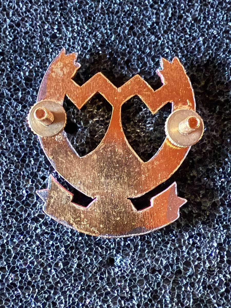 SADF Regiment Vaal River Beret Badge - Hard to find item