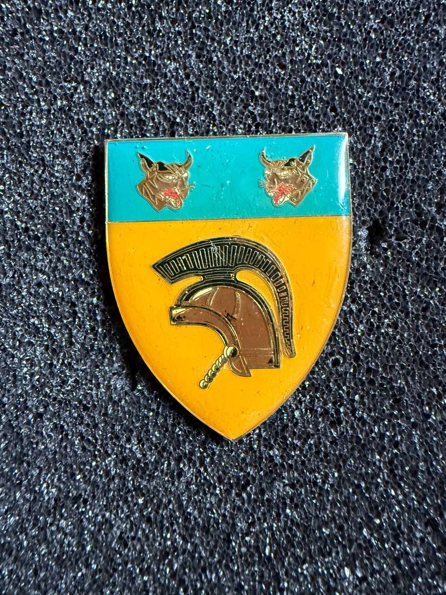 Karasburg Area Force Unit pocket flash SWATF - Hard to find Item