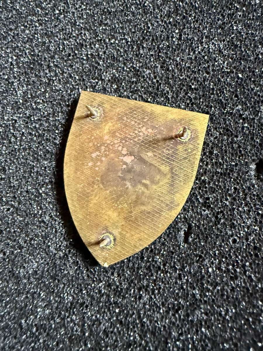 Karasburg Area Force Unit pocket flash SWATF - Hard to find Item