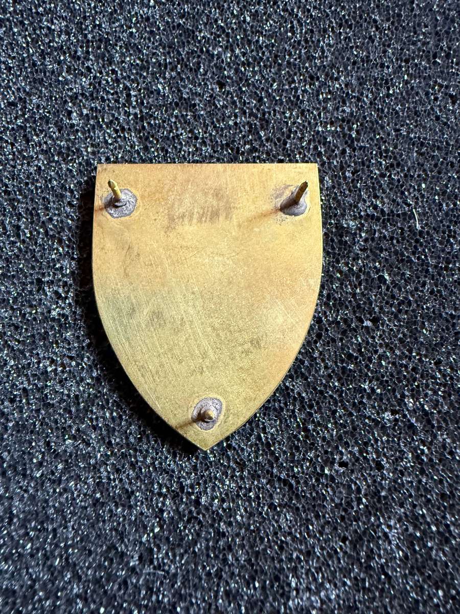 2 SAI Battalion Commemorative pocket flash