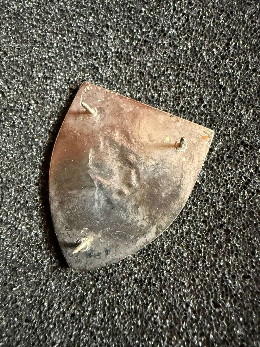 31 / 201 Battalion Commemorative pocket flash