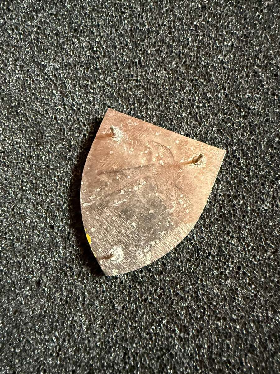 SWA Air Force 1 Squadron pocket flash