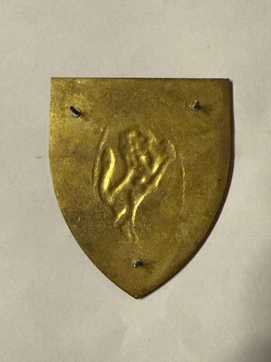 SADF 113 South African Infantry Battalion Shoulder Flash LH - Hard to Find