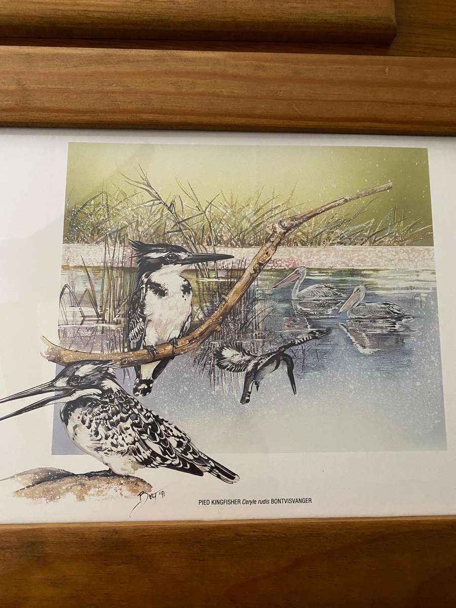 Set of 4 nature study  bird prints