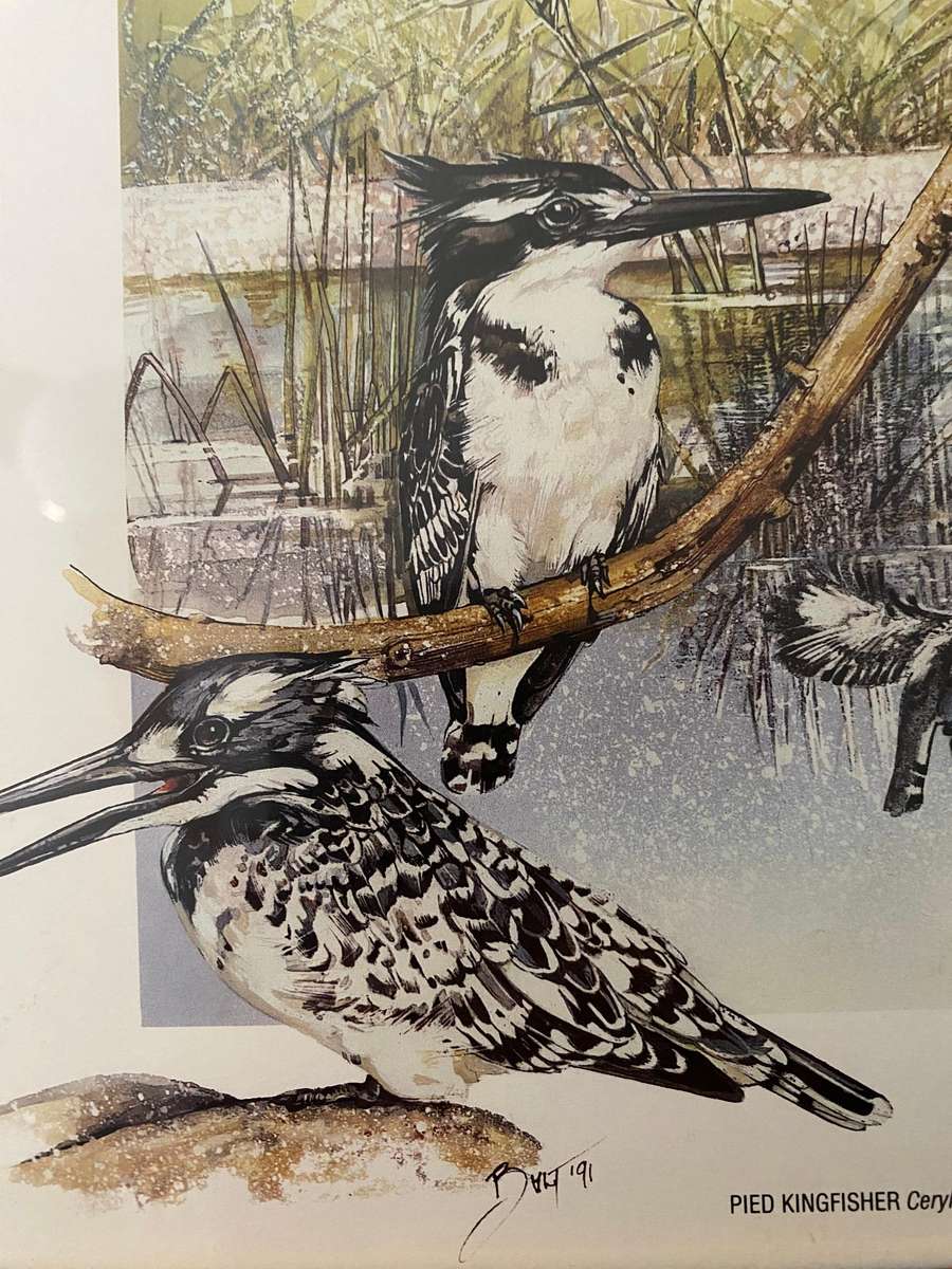 Set of 4 nature study  bird prints