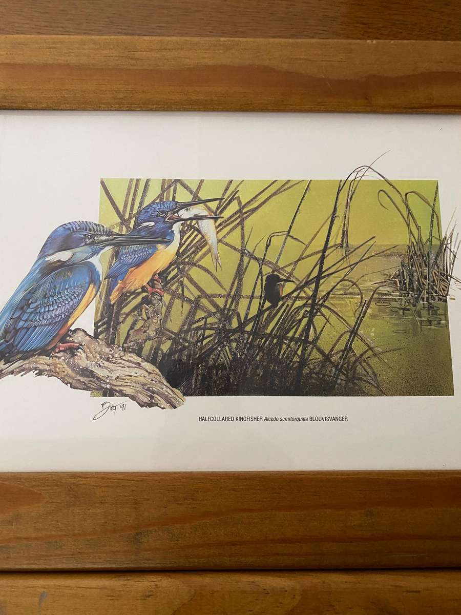 Set of 4 nature study  bird prints
