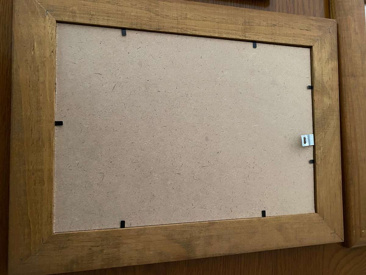 Set of 4 nature study  bird prints