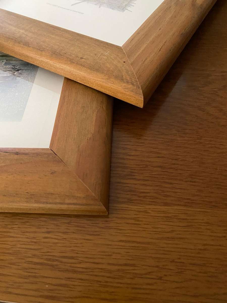 Set of 4 nature study  bird prints