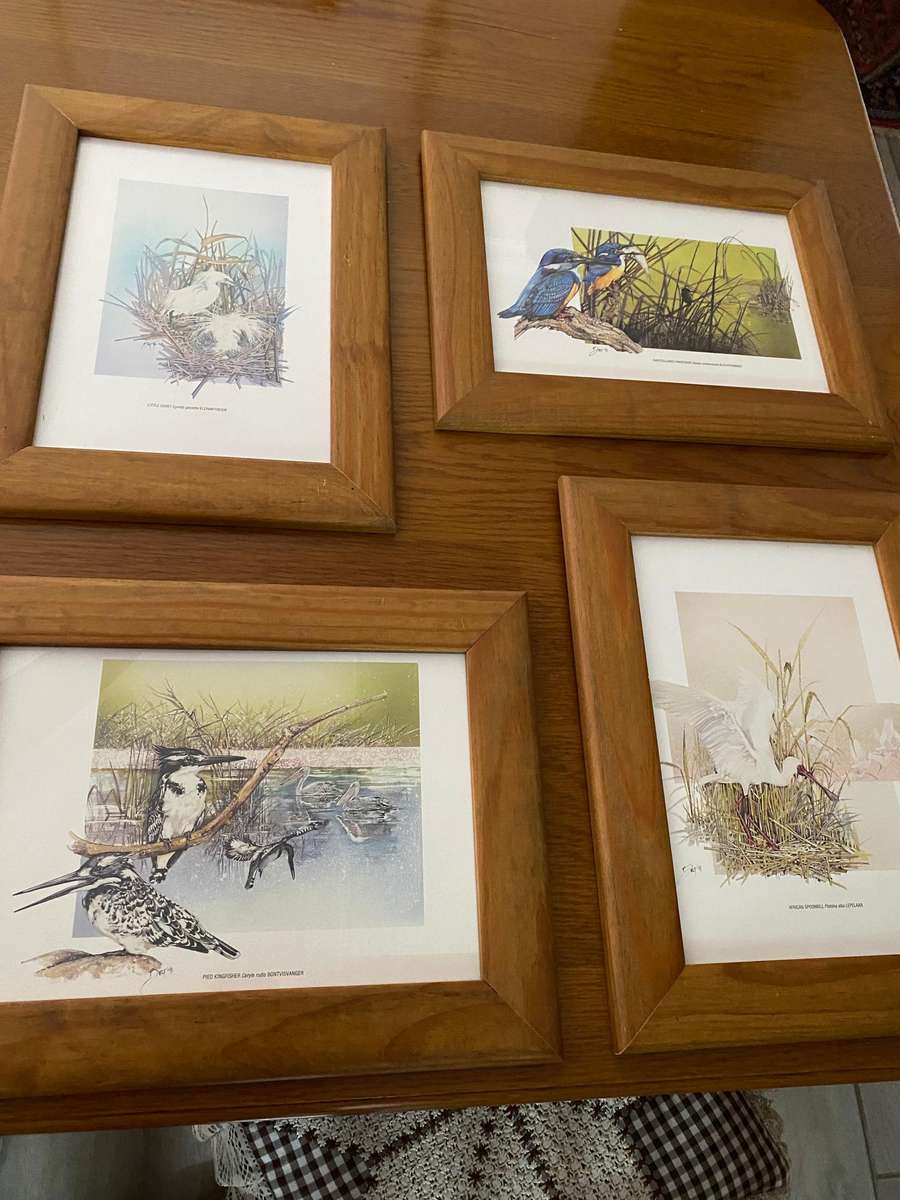 Set of 4 nature study  bird prints