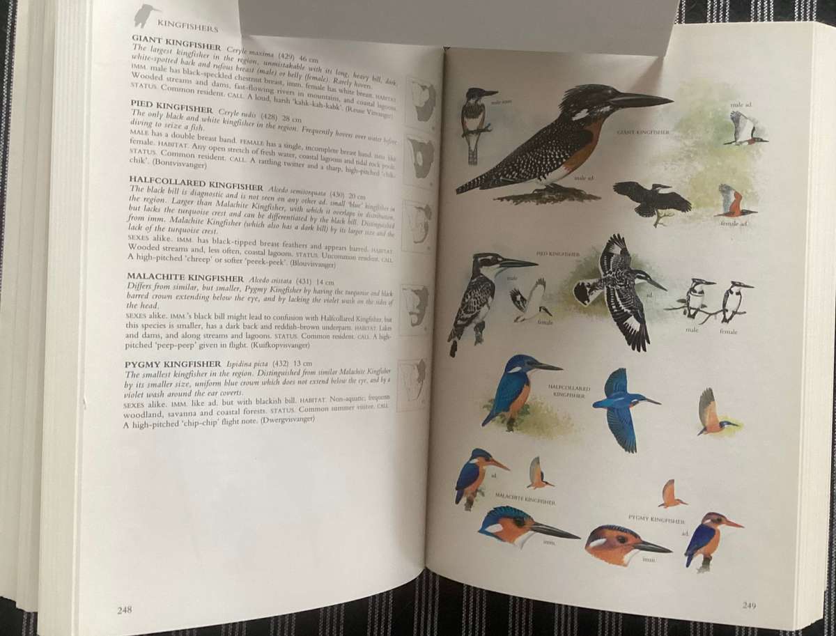 SASOL BIRDS of SOUTHERN AFRICA. Softcover in a new condition.