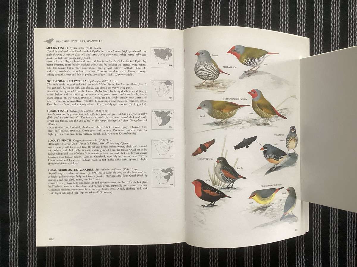 SASOL BIRDS of SOUTHERN AFRICA. Softcover in a new condition.