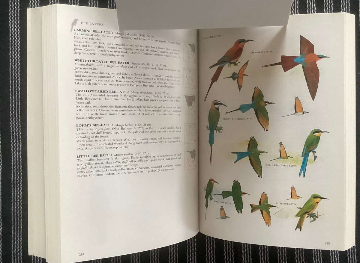SASOL BIRDS of SOUTHERN AFRICA. Softcover in a new condition.