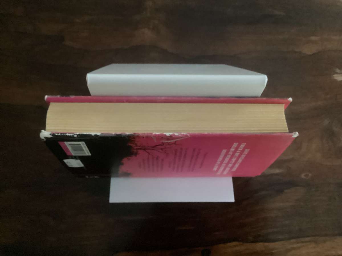 ARCTIC SUMMER by Damon Galgut, hardcover, stated 1st edition, 1st printing 2014. Good condition.