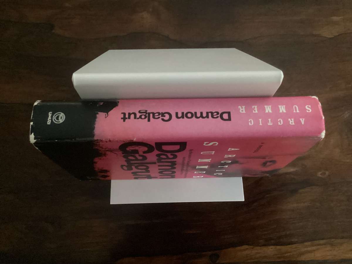 ARCTIC SUMMER by Damon Galgut, hardcover, stated 1st edition, 1st printing 2014. Good condition.