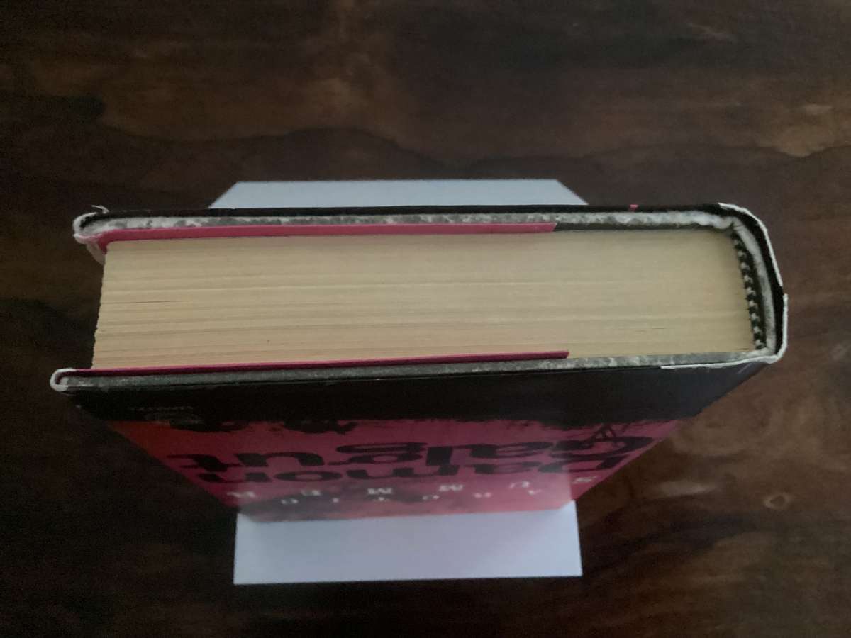 ARCTIC SUMMER by Damon Galgut, hardcover, stated 1st edition, 1st printing 2014. Good condition.