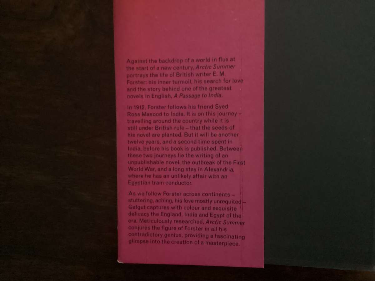 ARCTIC SUMMER by Damon Galgut, hardcover, stated 1st edition, 1st printing 2014. Good condition.